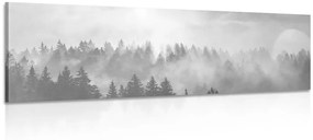 Εικόνα ομίχλης πάνω από το δάσος σε μαύρο & άσπρο - 135x45
