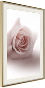 Αφίσα - Subtle Flower - 20x30 - Χρυσό - Με πασπαρτού