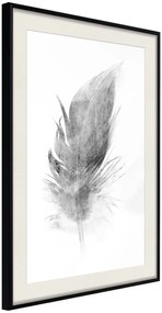 Αφίσα - Lost Feather (Grey) - 20x30 - Μαύρο - Με πασπαρτού