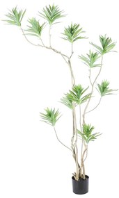 Τεχνητό Δέντρο Δράκαινα 8801-6 180cm Green Supergreens Plastic