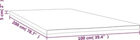 vidaXL Ανώστρωμα 100x200x5 εκ.
