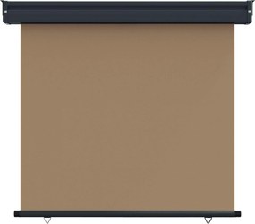 vidaXL Αυλούπα Πλευράς Μπαλκονιού 80 x 250 cm