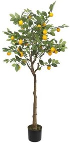 New plan LEMON TREE NP_30_170 ΥΨΟΣ 170cm Τεμαχιο