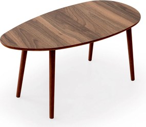 Τραπεζάκι Σαλονιού Καρυδί GUDROSA 100x50x45
