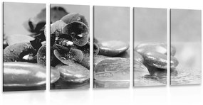 Ορχιδέα με εικόνα 5 μερών με μια πινελιά χαλάρωσης σε ασπρόμαυρο - 200x100
