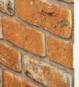 vidaXL Πάνελ τοίχου 10 pcs Τούβλο 100 x 50 cm Αφρός EPS
