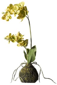 Τεχνητό Φυτό Ορχιδέα Με Βάση Moss 7070-6 20x20x40cm Green Supergreens Polyethylene
