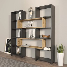 Βιβλιοθήκη Μαύρο / Δρυς MIFIMU 163.5x22x150