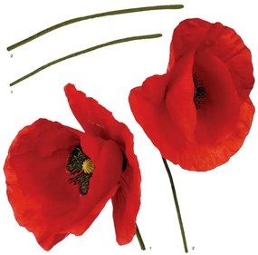 Διακοσμητικά αυτοκόλλητα τοίχου Poppies M