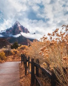 Φωτογραφία The trail to the rock, Syed Iqbal