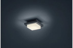Πλαφονιέρα Απλίκα Φωτιστικό Οροφής Τοίχου LED 3,5W Ανθρακί IP54 Hondo 228960142 Trio Lighting-228960142-Ανθρακί 228960142