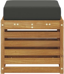 vidaXL Πάγκος 2 Τεμάχιο Φυσικό και Ανθρακί Στερεό Ξύλο Ακακίας