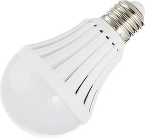 POWERMASTER 15W 6500K Rechargeable LED Lamp