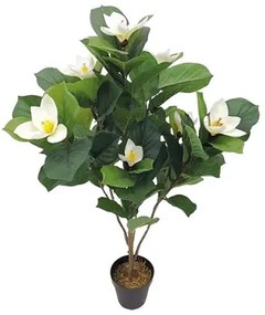 MarHome ΔΕΝΤΡΟ ΜΑΝΩΛΙΑ ΕΚΡΟΥ ΑΝΘΗ ΣΕ ΓΛΑΣΤΡΑ - Y107cm 1/6KIB  04-18762