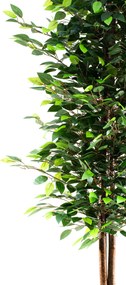 Stewehome Πυκνό φύλλωμα δέντρου Μπέντζαμιν σε μαύρη γλάστρα Πράσινο