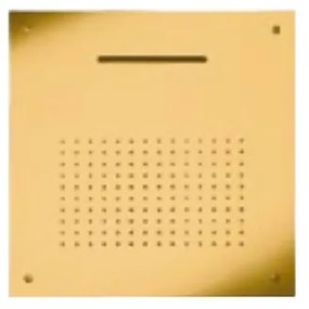 Almar Gold Brushed PVD Κεφαλή εντοιχισμού οροφής 2 ροών
