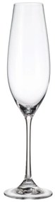 Ποτήρι Σαμπάνιας 260ml Columba - Crystal Bohemia - 6 ΤΜΧ
