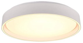 Φωτιστικό Οροφής - Πλαφονιέρα Felis R64391031 Led 24W 6500K Φ40x7cm White Mat RL Lighting
