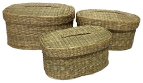 SIFNOS OVAL ΚΟΥΤΙ ΜΕ ΚΑΠΑΚΙ SET 3ΤΜΧ SEAGRASS ΦΥΣΙΚΟ 30x20xH15cm