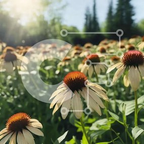 Intra Συλλεκτικό Ξύλινο Παζλ Plywood 4mm - Πεδίο με λευκά και καφέ λουλούδια με δέντρα Σε Ξύλινο Κουτί - Διαστάσεις: 10x10 cm – 25 κομμάτια