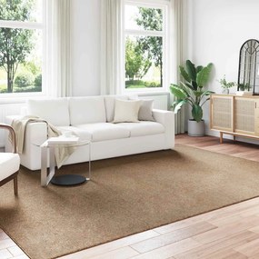 vidaXL Χαλιά χώρου Ορθογώνιος AGIRA Φυσικό 340 x 240 εκ Πολυεστέρας