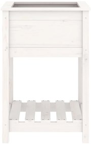 vidaXL Ζαρντινιέρα με Ράφι Λευκή 54 x 54 x 81 εκ. Μασίφ Ξύλο Πεύκου