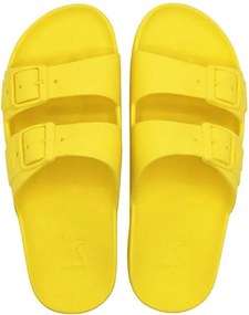 Μιούλ με διπλά λουράκια, Bahia