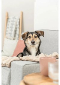 Κουβέρτα για κατοικίδια Trixie Elli Άμμο πολυεστέρας 100 × 70 CM