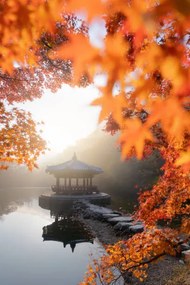 Φωτογραφία Τέχνης Beautiful Autumn scene of Naejangsan national, Twenty47studio, (26.7 x 40 cm)