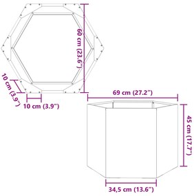 ΖΑΡΝΤΙΝΙΕΡΑ ΚΗΠΟΥ ΕΞΑΓΩΝΗ ΑΝΘΡΑΚΙ 69X60X45 ΕΚ. ΑΤΣΑΛΙ 851124