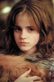 Εκτύπωση τέχνης Harry Potter - Hermione Granger, (26.7 x 40 cm)