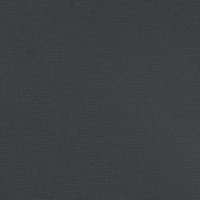 Σκίαστρο Πλαϊνό Συρόμενο Μαύρο 220 x 600 εκ. - Μαύρο