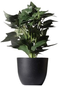 Τεχνητό Φυτό Κισσός Silver 7060-6 17x21x30cm Green Supergreens Polyethylene