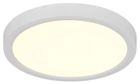 Φωτιστικό Οροφής Reality Lighting -RL DRACO R65891131 Λευκό Ματ (White Mat) 2300+3000+4000K