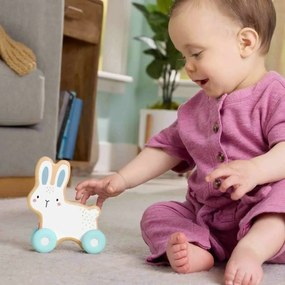 Αρθρωτό Σχήμα Fisher-Price