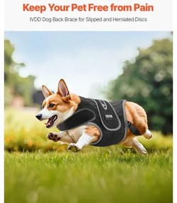 VEVOR Dog Back Brace Adjustable Dog Spine Support Harness for IVDD Pain Relief