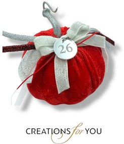 Κολοκύθα κόκκινο ανοιχτό βελούδινη μεσαία - Ασημί