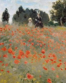 Monet, Claude - Εκτύπωση έργου τέχνης Poppies, (30 x 40 cm)