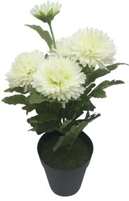 MarHome ΦΥΤΟ ΧΡΥΣΑΝΘΕΜΟ X5 ΛΕΥΚΟ ΣΕ ΚΑΣΠΩ - Y40cm 4/24ΚIB  04-24186-2