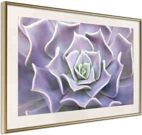 Αφίσα - Like a Flower - 45x30 - Χρυσό - Με πασπαρτού