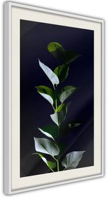 Αφίσα - Floral Elegance - 40x60 - Μαύρο - Χωρίς πασπαρτού