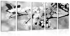 Εικόνα 5 τμημάτων άνθος κερασιάς σε ασπρόμαυρο - 100x50
