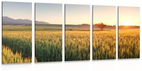 5 μέρος εικόνα ηλιοβασίλεμα ηλιοβασίλεμα πάνω από το χωράφι - 100x50