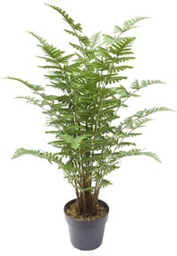 Τεχνητό Φυτό Φτέρη Maidenhair 0960-6 50x50x90cm Green Supergreens Πολυαιθυλένιο