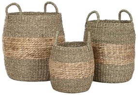 Σετ Καλαθιών Home ESPRIT Φυσικό Eichhornia crassipes (3 Τεμάχια)