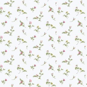 Ταπετσαρία Τοίχου Cristiana Masi Blooming Garden 84009-PAR