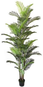 Τεχνητό Δέντρο Αρέκα 3970-6 230cm Green Supergreens Polyethylene