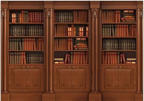 Αυτοκόλλητη φωτοταπετσαρία - Elegant Library - 245x175