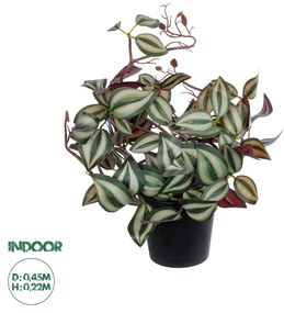 Artificial Garden ZEBRINA PLANT 20961 Διακοσμητικό Φυτό Ζεμπρίνα Φ45 x Υ22cm