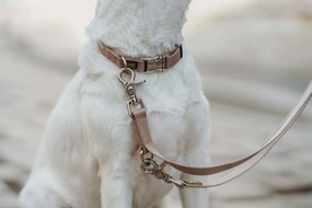 Κολλάρο Σκύλου Hunter Inari Μπεζ XL 45-65 cm